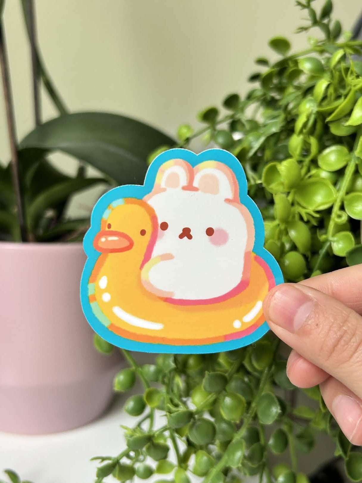 ducky bunny