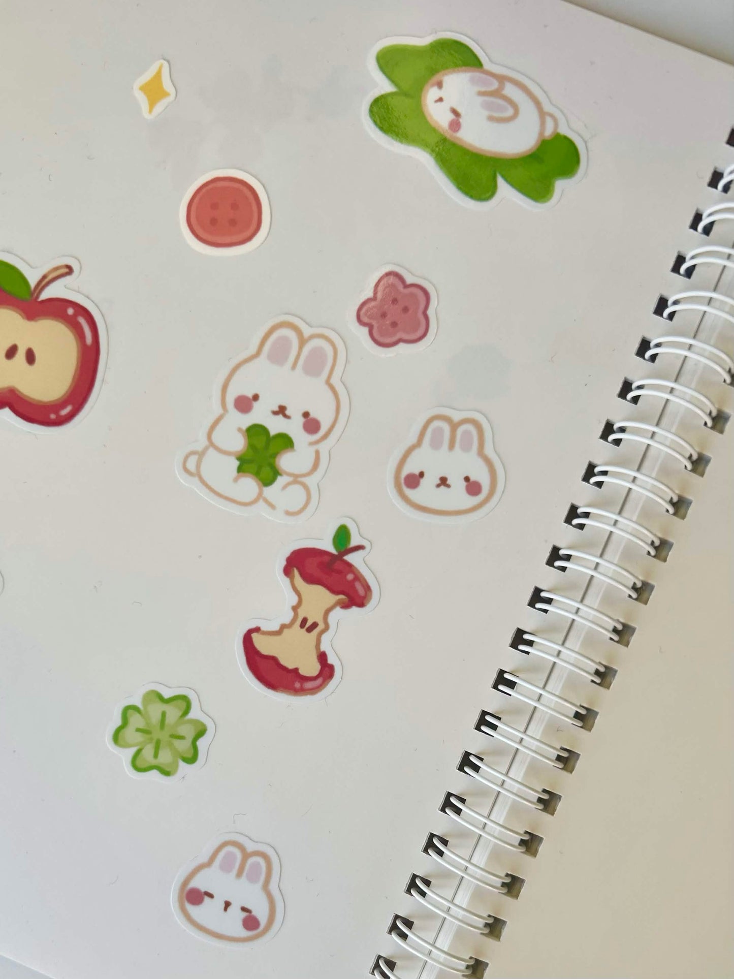 Reusable Sticker Book
