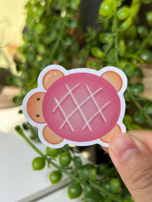 Pink Melon Pan Turtle